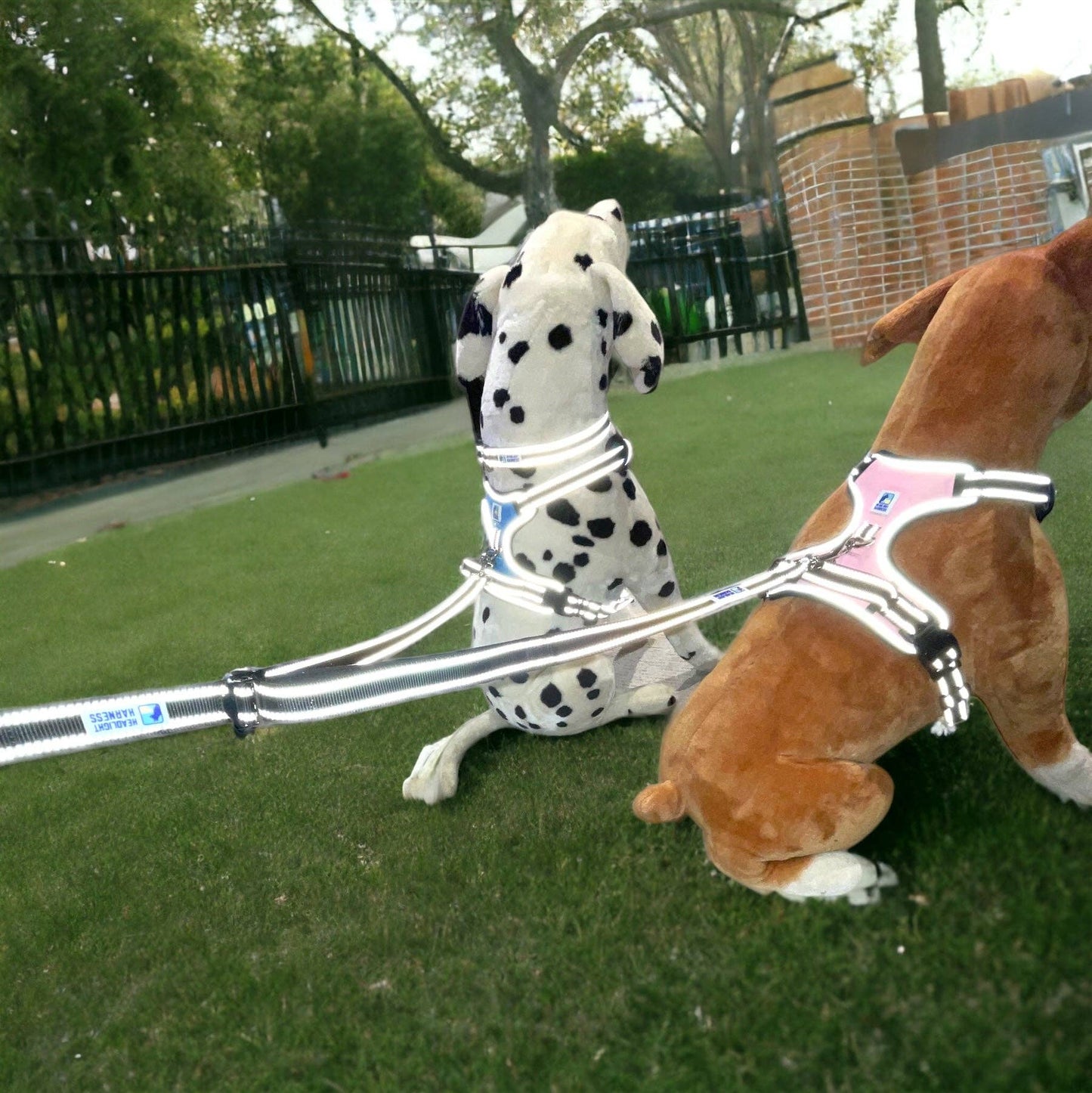 Headlight Harness 2 Dog Reflective Double Leash - Ruffingdales, Inc

https://ruffingdales.com/products/headlight-harness-2-dog-reflective-double-leash