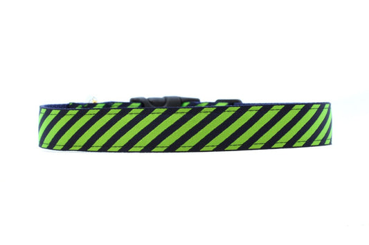 close up of lime and blueberry stripe collar