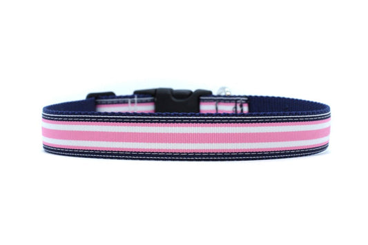 close up of collar. navy background with pink and white stripe