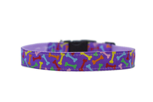 close up of collar. purple background with light blue, green, yellow, red, and orange dog bones