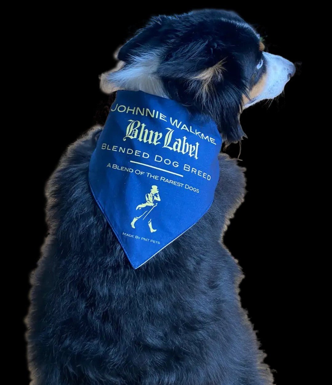 Johnnie Walkme Bandana - Ruffingdales, Inc