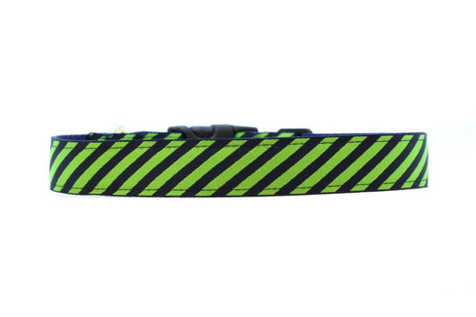 Lime/Blueberry Stripe Collar - 1" - Ruffingdales, Inc