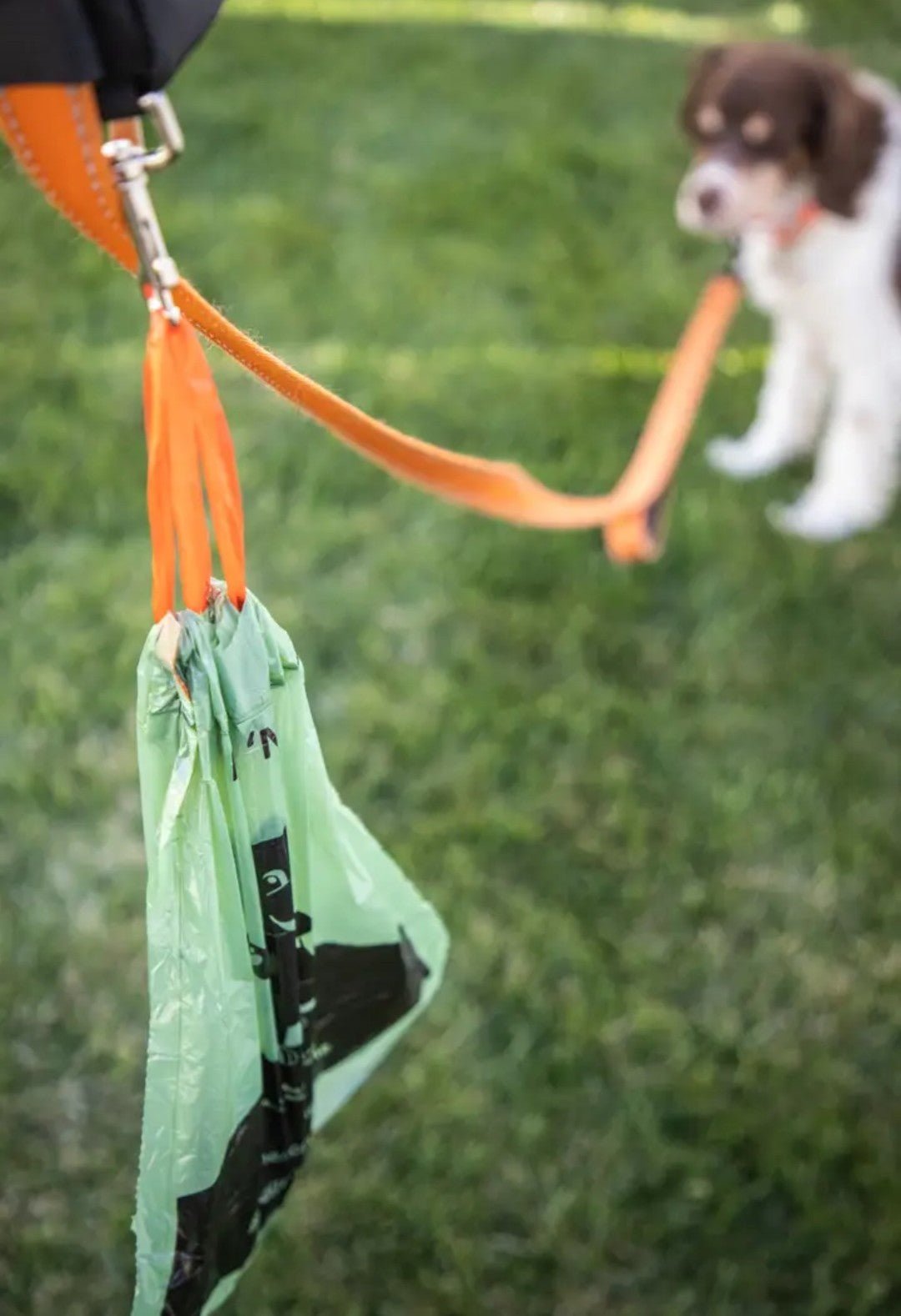 Poop Bags - Biodegradable with Drawstring Closure - Ruffingdales, Inc