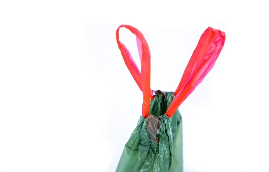 Poop Bags - Biodegradable with Drawstring Closure - Ruffingdales, Inc
