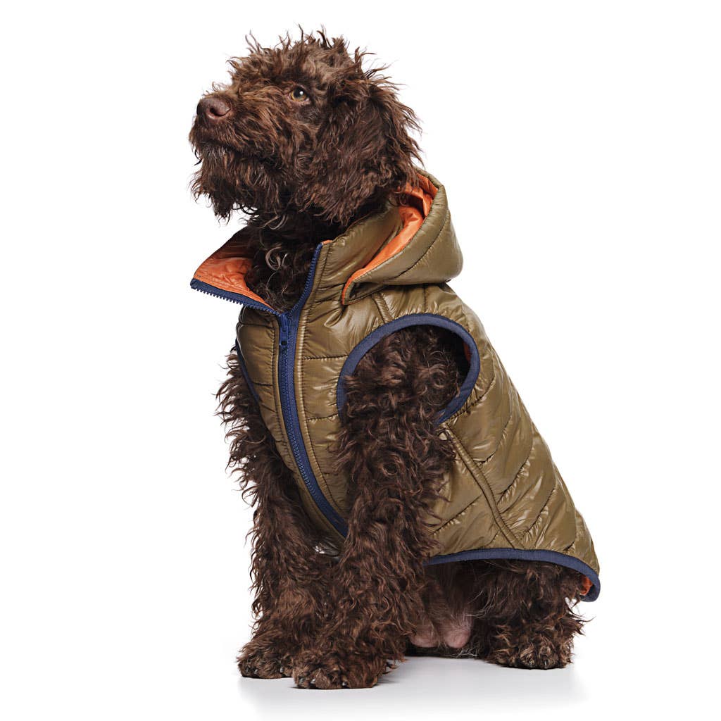 Reversible Puffer Jacket, Olive / Orange - Ruffingdales, Inc