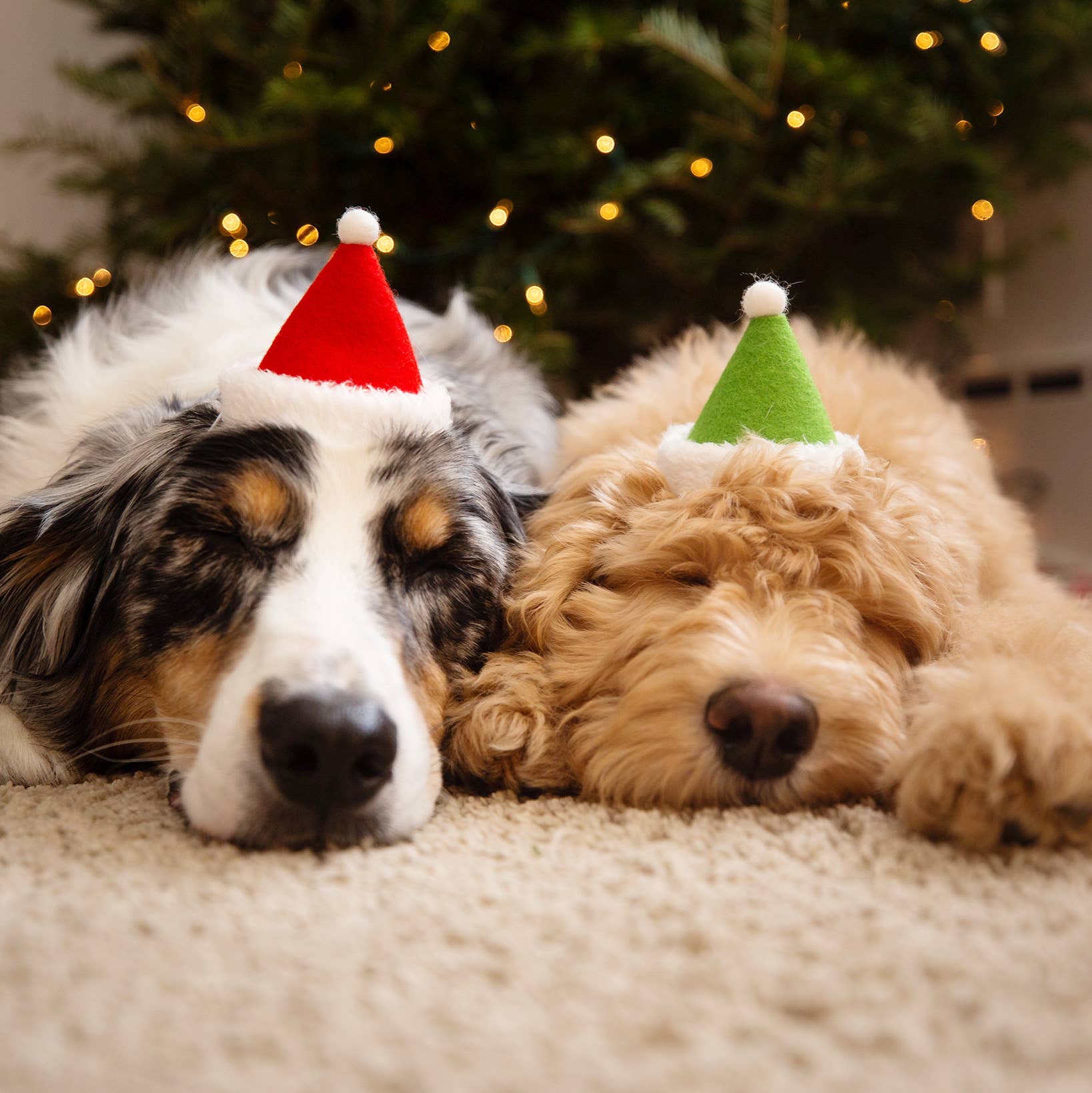 Santa Hat - 3" x 3" - Ruffingdales, Inc