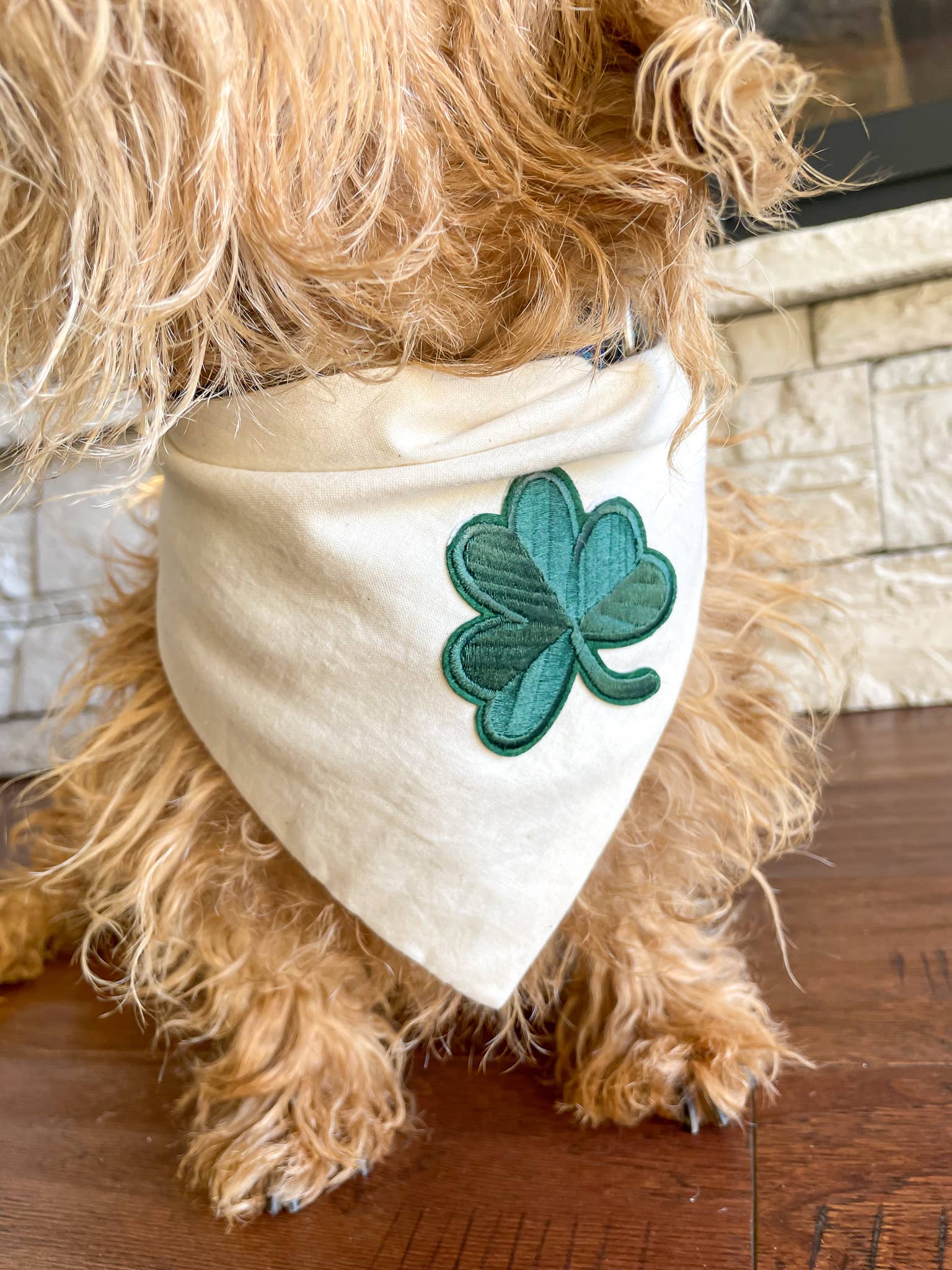 St Paddy's Day Dog Bandana - Ruffingdales, Inc