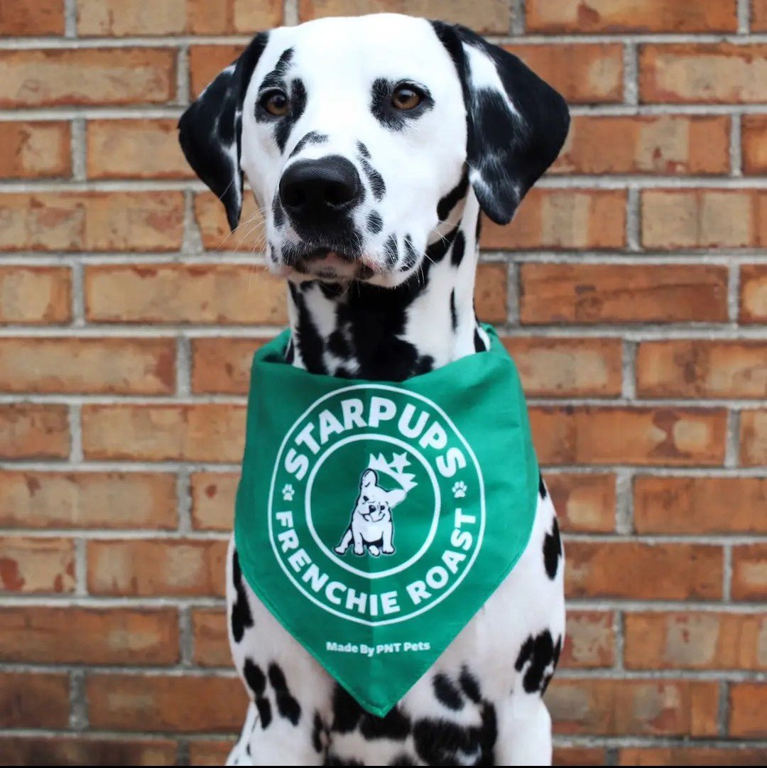 Starpups Frenchie Roast Bandana - Ruffingdales, Inc