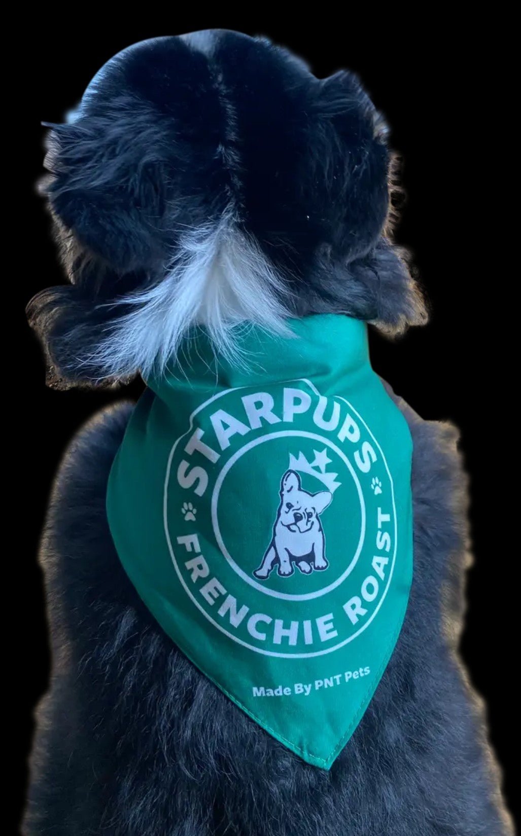 Starpups Frenchie Roast Bandana - Ruffingdales, Inc