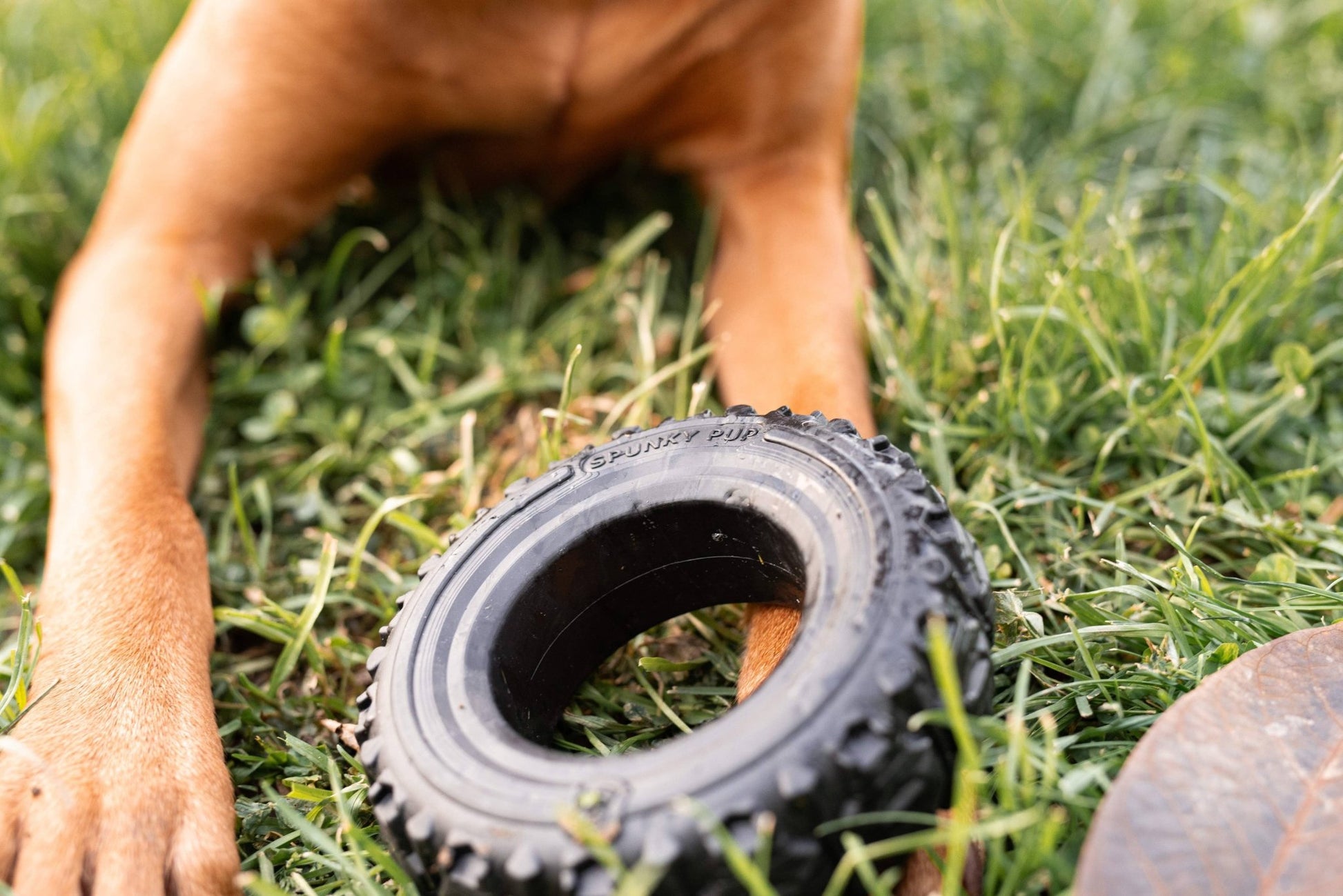 The Tire - Reclaimed Rubber Toy - Ruffingdales, Inc