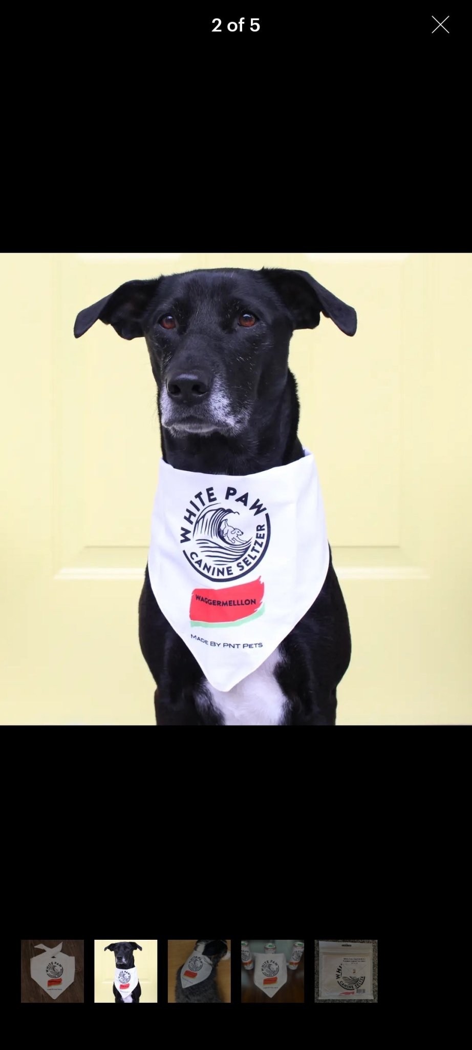 White Paw Bandana - Waggermellon - Ruffingdales, Inc