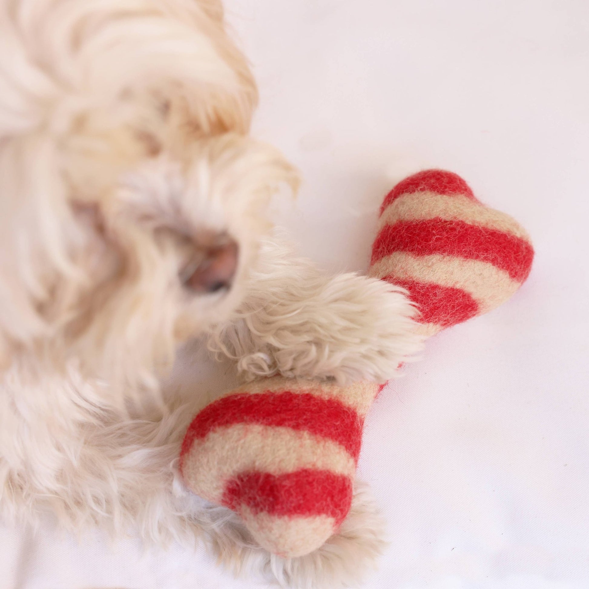 Wool Bone - Candycane - Ruffingdales, Inc
